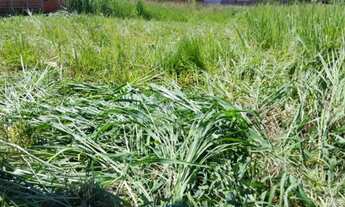 Imagem: Terreno Parque das Águas Várzea Grande