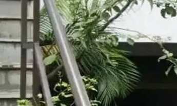 Imagem: Sobrado em Rua Américo Vespucci - Vila