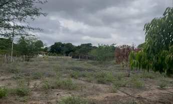 Imagem 2: TERRENO BEIRA DE RIO
