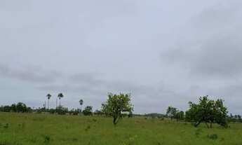 Imagem 5: Fazenda de 1000 hectares na serra da lua, ler descrição do anuncio