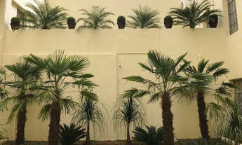 Imagem 5: Locação de Lojas-Rua Santa Ifigênia 555