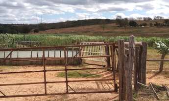 Imagem 6: Fazenda Para vc Que Tem Vocação com Pecuária