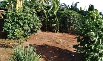 Imagem 4: Chácara de 10,5 hectares. 7 km da BR