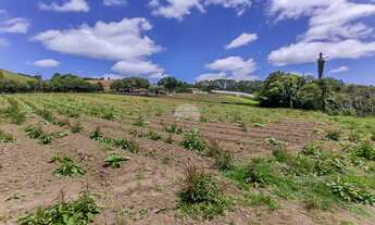 Imagem 5: Chácara Residencial para Venda no Morro Grande em Colombo, 12184.25m²