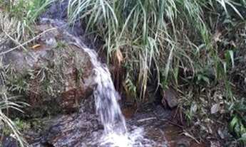 Imagem: Sítio 40 Hectares Bom Jardim- Fazenda 124