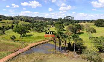 Imagem 7: Chácara 7.74 alqueires ( 37.5 hectares ) Bela Vista de Goiás - GO