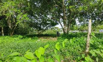 Imagem: área maravilhosa em Aldeia, com mas de