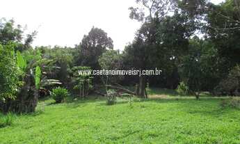 Imagem 6: Caetano Imóveis - Sítio em Agro-Brasil com 15.000m² todo plano e todo murado