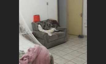 Imagem 7: CA1164 Casa Residencial / Fundos