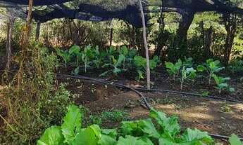 Imagem 2: Sítios/chácara/Fazendas