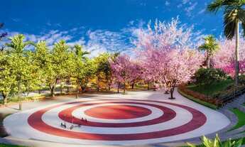 Imagem 7: Vinhas Flamboyant - Terreno