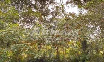 Imagem 2: Sua casa de praia está aqui!