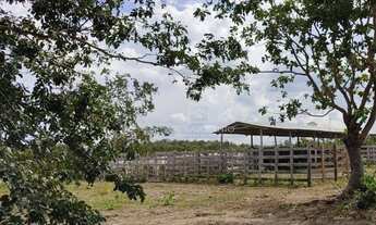 Imagem 5: Fazenda Chapada Guimaraes - MT