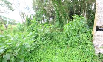 Imagem 2: Lotes exclusivos no Cônego - Lote 15