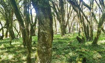 Imagem 3: Imóveis Altos da Serra <br>-Terreno a venda a partir de 40% de entrada e o restante