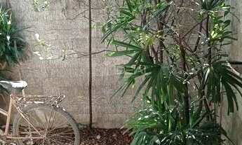 Imagem 3: Imóvel 3 Quartos com Ótimo Custo-Benefício na Penha!