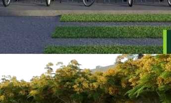 Imagem 6: Vila das palmeiras - Paulista