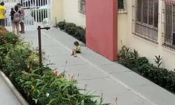 Imagem 4: Apto Salinas Apartamento com 1 dormitório