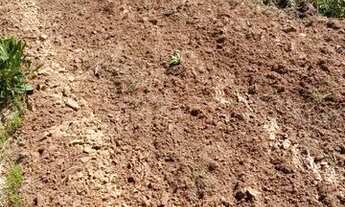 Imagem 4: Fazenda novo acordo Tocantins