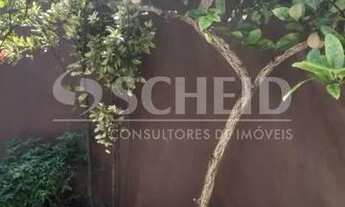 Imagem 4: Casa - Cidade Dutra