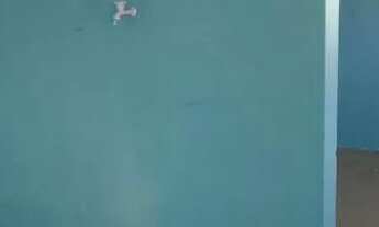 Imagem: Aluga-se casa em araucaria Paraná