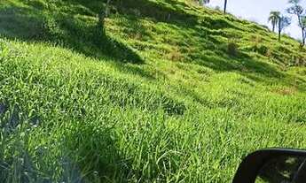 Imagem: 50,6 alqueire Santa Maria do Oeste