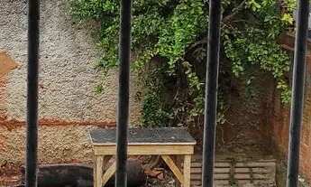 Imagem 6: Troco casa por chácara na região de Sorocaba