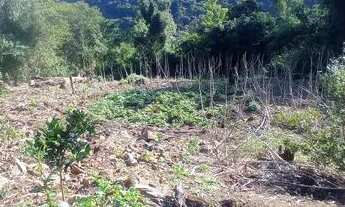 Imagem 4: Sitio com casa 158,900,00