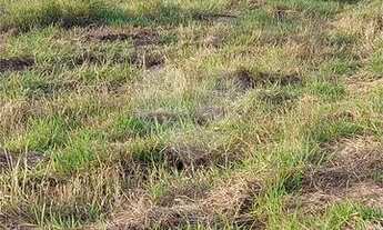 Imagem 5: Terreno à venda no Bairro Vale do Sol em Piracicaba