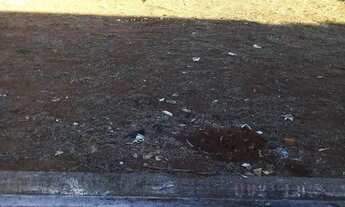 Imagem 7: Lote em Cedral Terreno / lote com venda por R$90.000