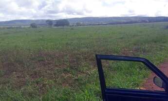 Imagem 2: Fazenda a venda liga pra.mim