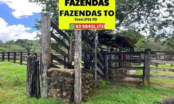 Imagem 3: Fazenda a venda dupla aptidão em Luzimangues Tocantins
