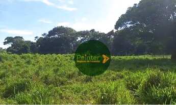 Imagem 2: Fazenda à venda, 532400 m² por R$ 4.500.000,00 - Zona Rural - Caldazinha/GO