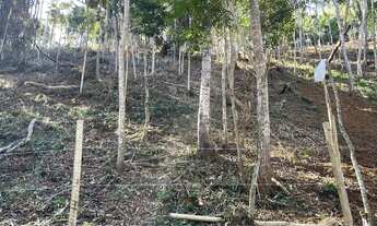 Imagem 4: Vendo 2 terrenos Itaipava