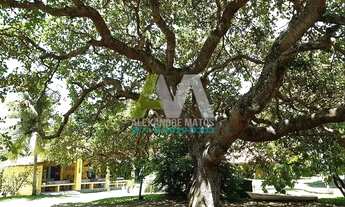 Imagem 7: Terreno à venda no bairro Barra Grande - Maraú/BA