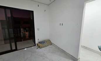 Imagem 5: Castanheiras Governador Valadares