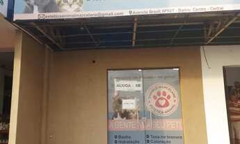 Imagem: Locação de sala comecial