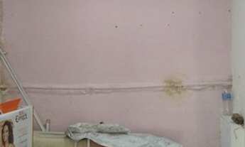 Imagem 5: Vendo 02 Lojas Ilha do governador Pitangueiras