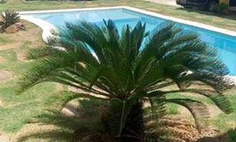 Imagem 4: Apartamento para venda possui 58 m2 com 2 quartos, 2 banheiros, com armários projetados