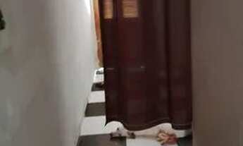 Imagem 4: Vendo Casa com 2 dormitórios