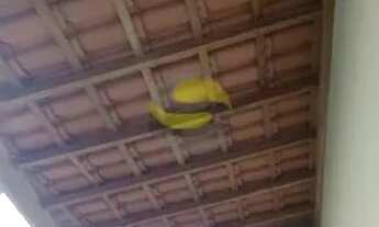 Imagem 4: Casa geminada condominio