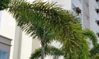 Imagem 2: Aluga-se Apartamento no Costa Forte - Pau Amarelo