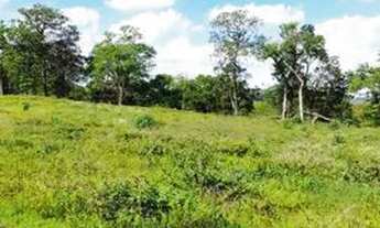 Imagem 5: LOTES NO INTERIOR DE SÃO PAULO: OPORTUNIDADE IMPERDÍVEL!