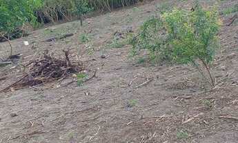 Imagem 4: Fazenda/Sítio/Chácara para venda possui 13000 metros quadrados com 2 quartos
