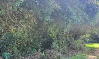 Imagem 4: Terrenos- BAIRRO VILA GARCIA