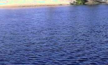 Imagem 7: Área medindo 280.000 m2 ou 28 hectares no povoado Coqueiros - Jandaira-Ba