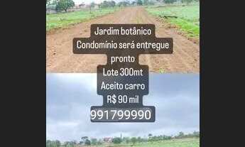 Imagem 3: Lote 300m² jardim botânico