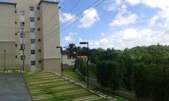 Imagem 3: Jardins Cajazeiras 2/4 aluguel e venda