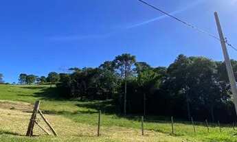 Imagem 5: LP - Atenção! vendo terreno barato não perca essa oportunidade!