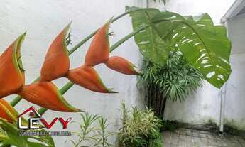 Imagem 7: Apto Terreo com 37 m2 + terraço